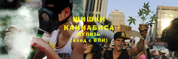 ГАЛЛЮЦИНОГЕННЫЕ ГРИБЫ Кулебаки