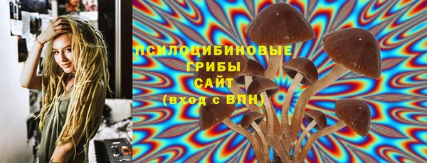 соль курить ск Кукмор